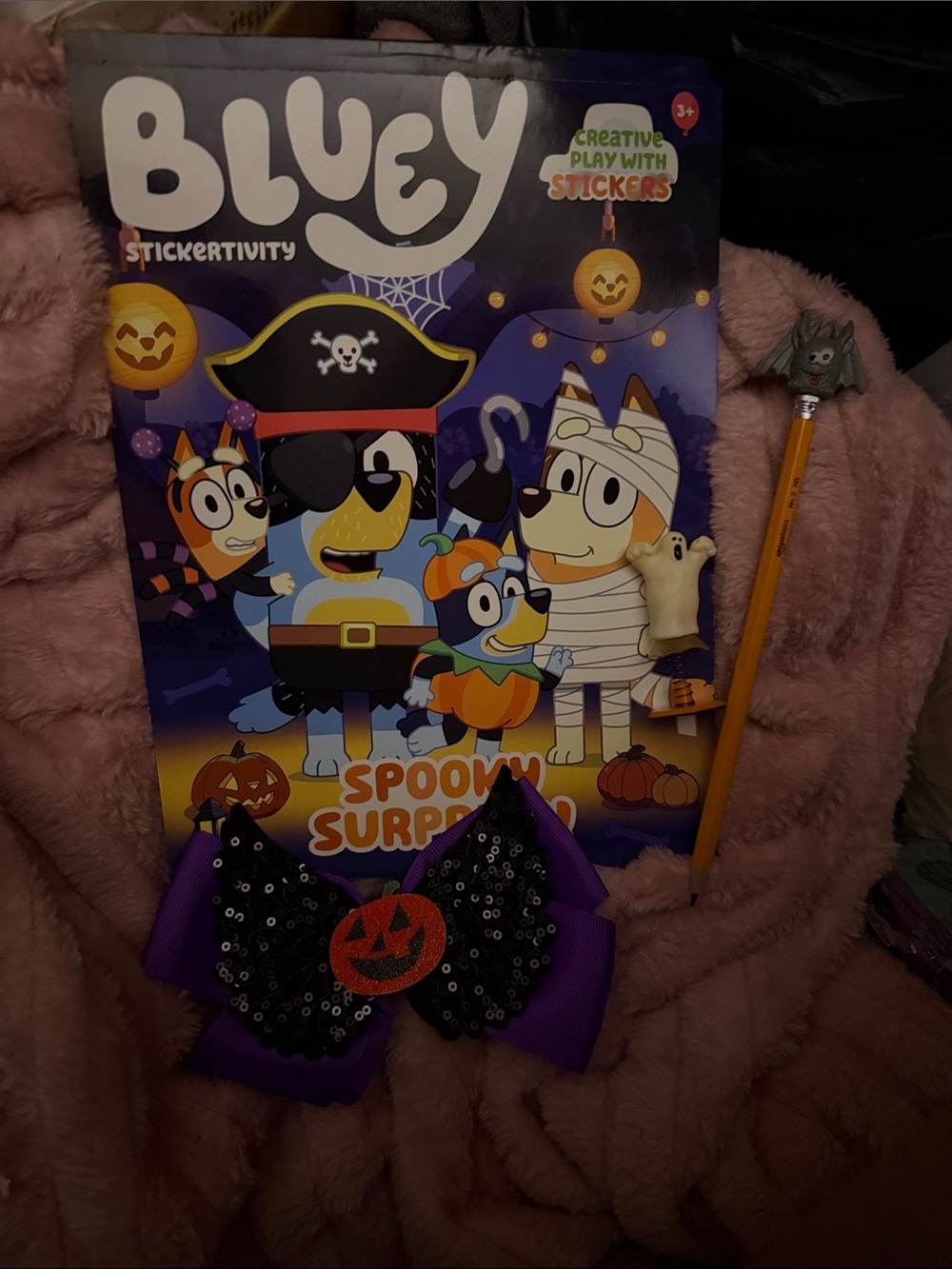 Bluey activity book and more
